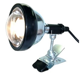 Töölamp Handlite