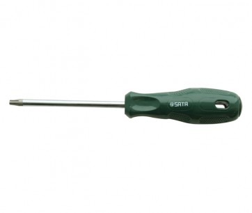 Kruvikeeraja TORX T25x100mm