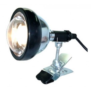 Töölamp Handlite