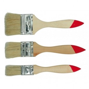 Pintslite komplekt 3.- osaline TOYA