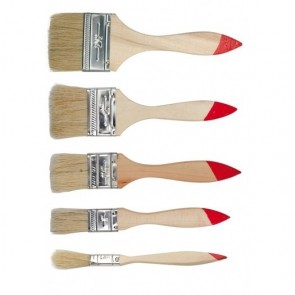 Pintslite komplekt 5.- osaline  TOYA
