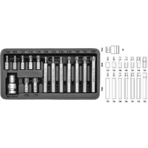 Otsikute 15-osaline komplekt, TORX, CrV